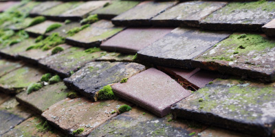 Eccles roof repair costs